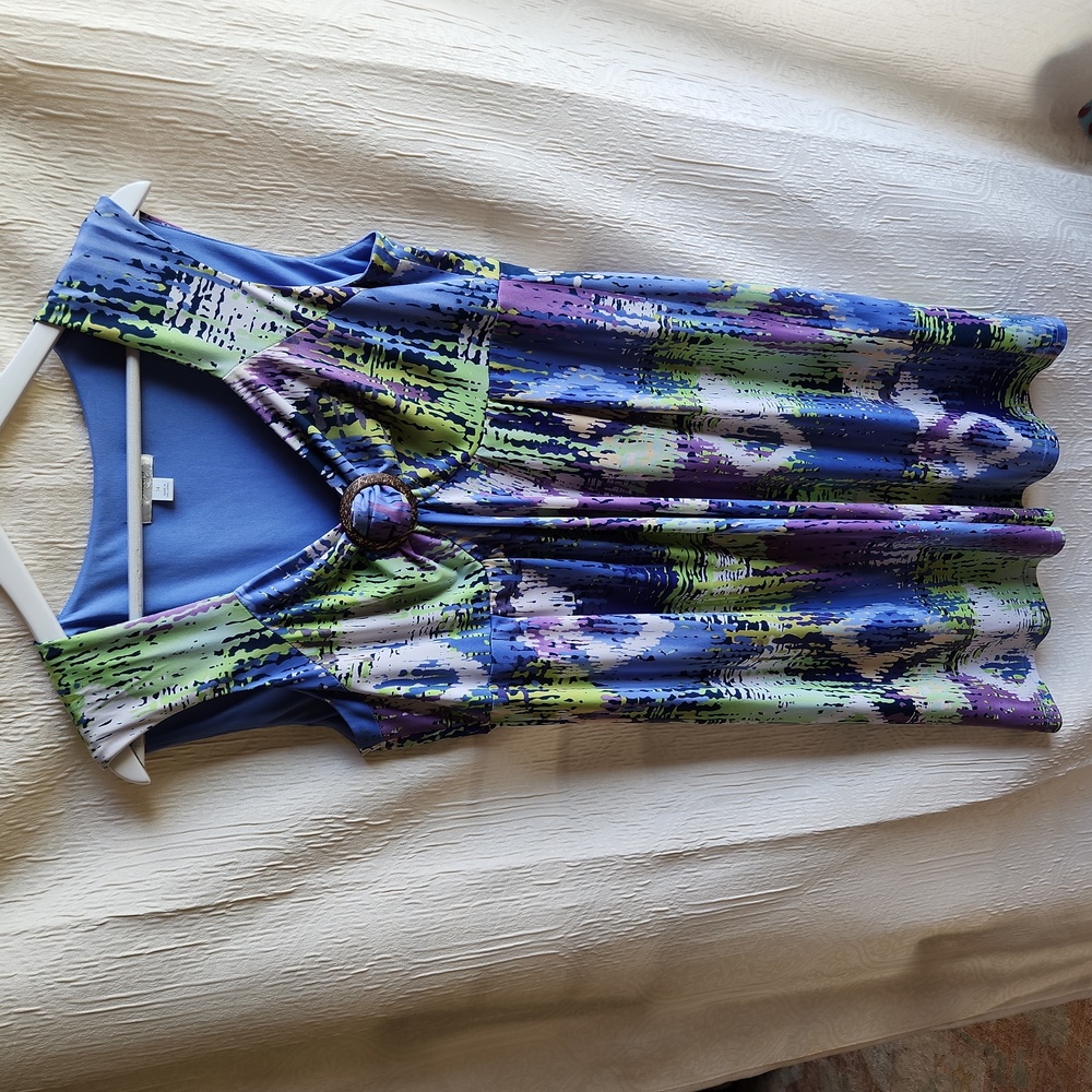 Dress Barn dress